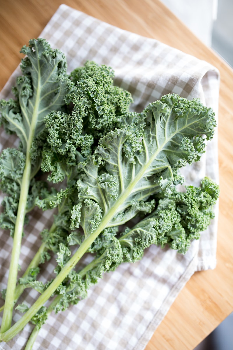 Kale Kilitli villa Kapıları Kale Kilitli villa Kapıları